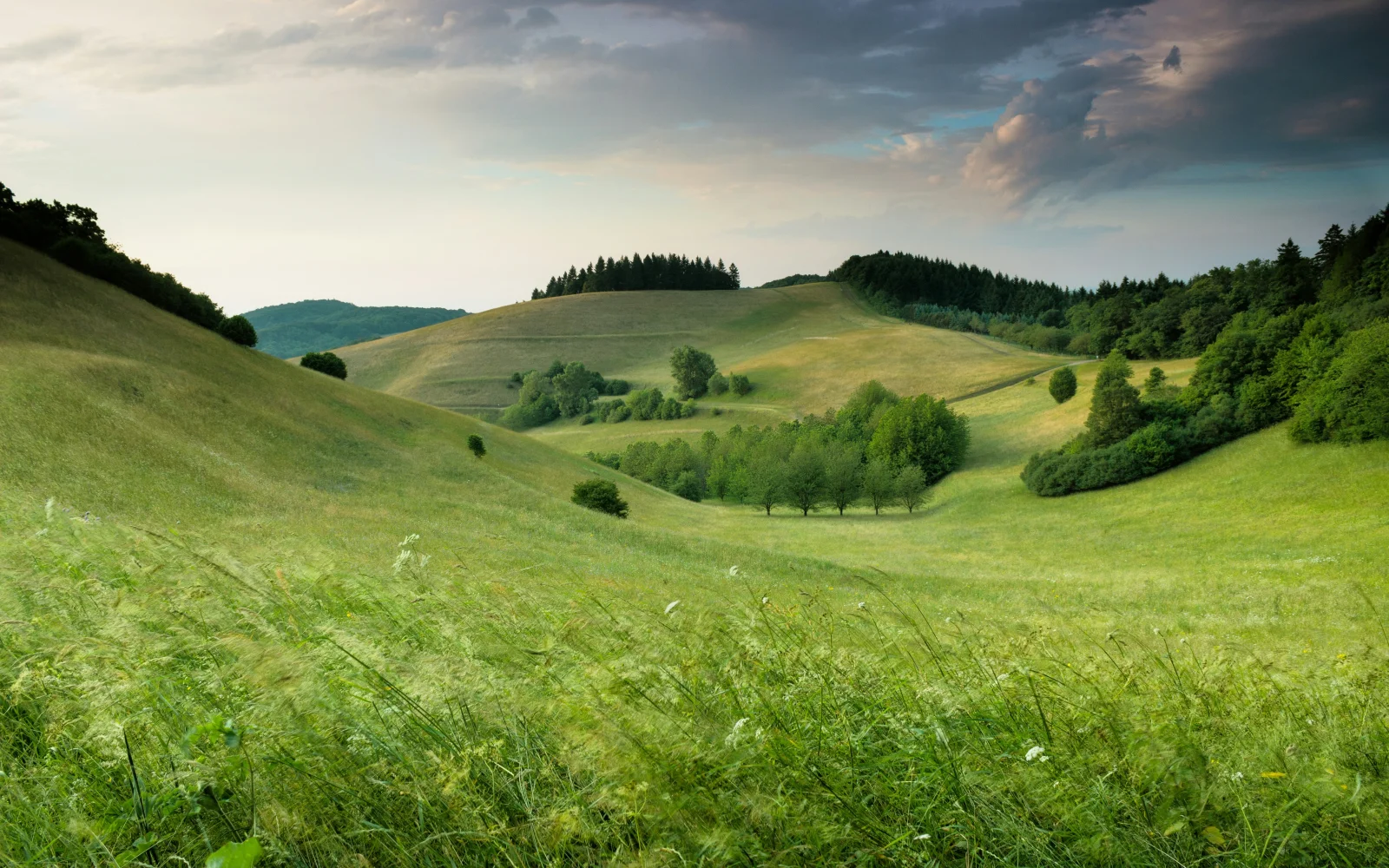 Paysage Automne