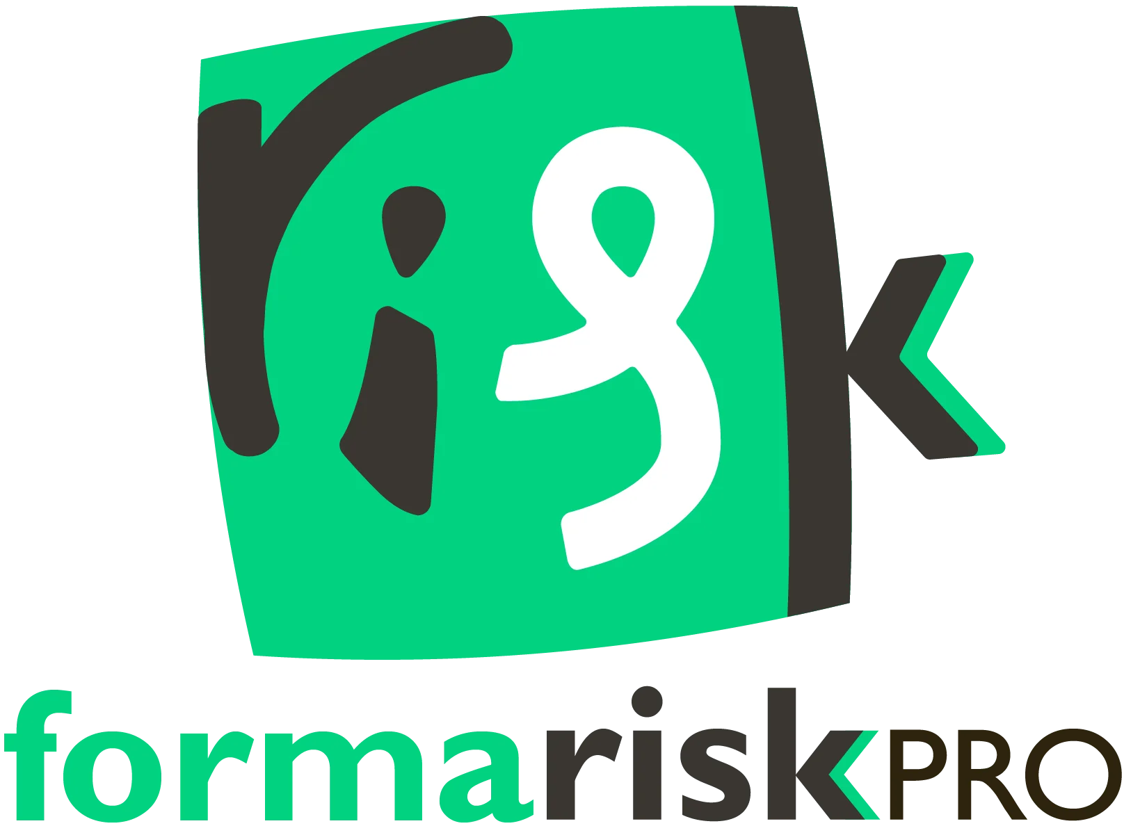 Format Risk Pro